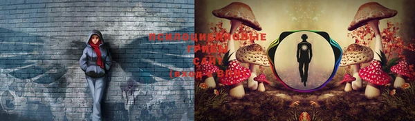 эйфоретик Беломорск