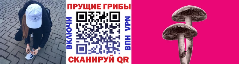 Галлюциногенные грибы Magic Shrooms  где продают наркотики  Сердобск 